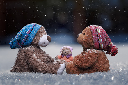  Teddy bears