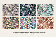 Bloomera. Seamless patterns, a Pattern Graphic by emeraldthue (Thumbnail 8 of 8)