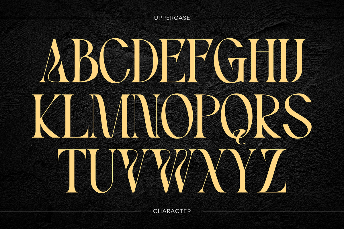 Xeola - Modern Logo Font, a Serif Font by Nirmana Visual (Photo 7 of 10)