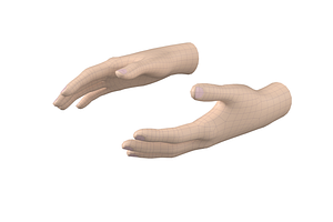 Female Hand Base Mesh 03