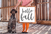 Sugar Market | Farmhouse Script Font, a Script Font by KA Designs (Thumbnail 4 of 10)