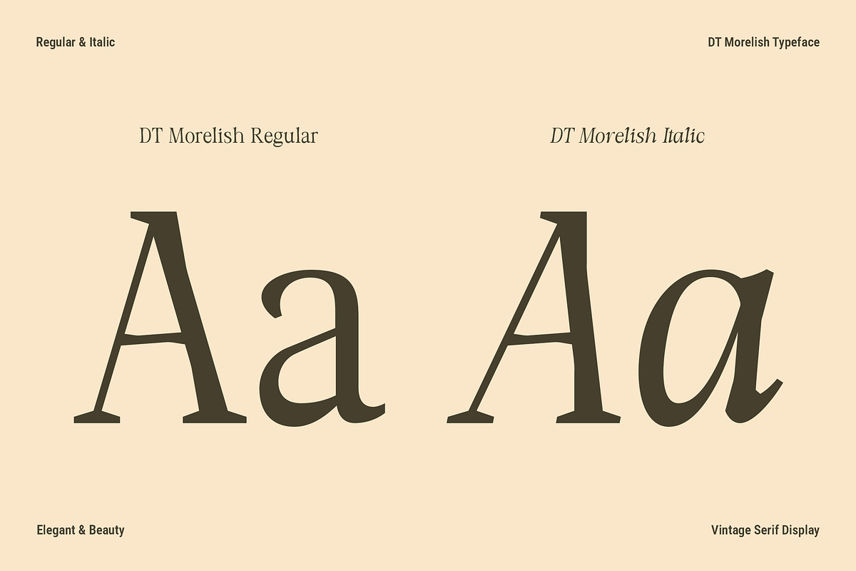 DT Morelish - Serif Display, a Serif Font by Dryy.type (Photo 4 of 12)
