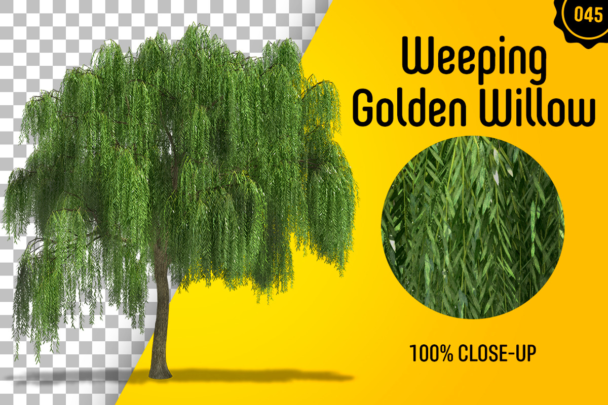 CUT OUT TREES - 60 PCS BUNDLE, a Packaging Mockup by 3DSTORE (Photo 46 of 63)