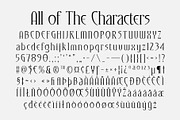 CS Strange – Modern Serif Font, a Serif Font by Craft Supply Co. (Thumbnail 8 of 8)