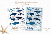 Cute Whales. Characters & patterns, an Animal Illustration by MagicForestory (Thumbnail 8 of 12)