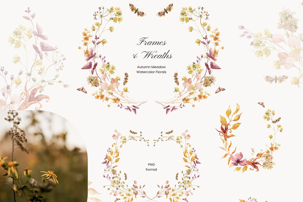 Autumn Meadow Watercolor Florals, a Seasonal Illustration by Yuliia Lashevska (Photo 4 of 14)