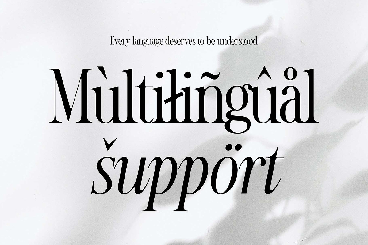 Novela Clasica - Modern Serif, a Serif Font by Novitype (Photo 12 of 12)