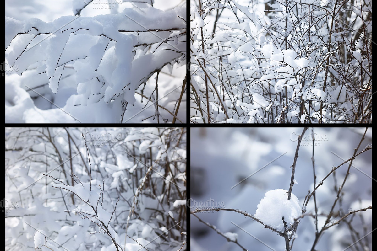 76 winter nature backgrounds, a Nature Photo by pictures for you (Photo 7 of 20)