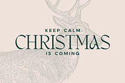 Holiday Season | Christmas Fonts, a Serif Font by Headfonts (Thumbnail 3 of 9)
