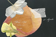 Thin Air - Soft Collage Elements, an Object Graphic by Purple (Thumbnail 7 of 15)