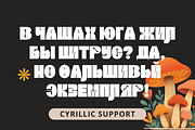 Girthy Display, a Sans Serif Font by Silverdav (Thumbnail 7 of 8)