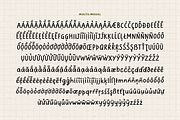 ELASTIQUE STYLO | Font Family, a Handwritten Font by type peace (Thumbnail 14 of 18)