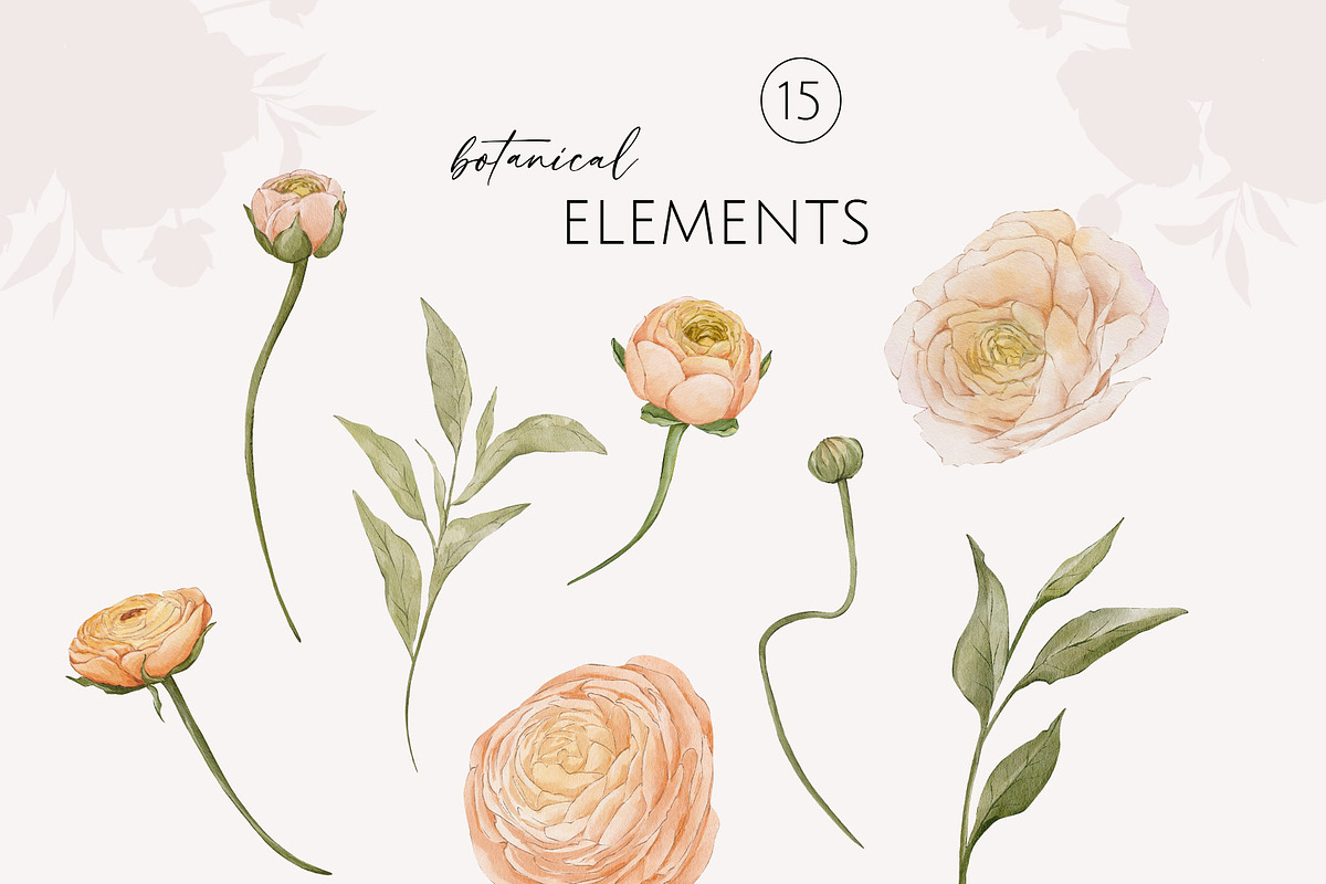 Peach BLOOM watercolor florals, a Decorative Illustration by Yuliia Lashevska (Photo 13 of 14)