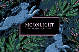 Moonlit Woodland — Winter Patterns