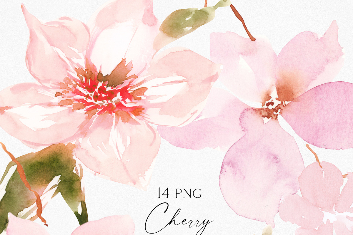 Watercolor Cherry Blossom, an Illustration by Olga Koelsch (Photo 8 of 9)