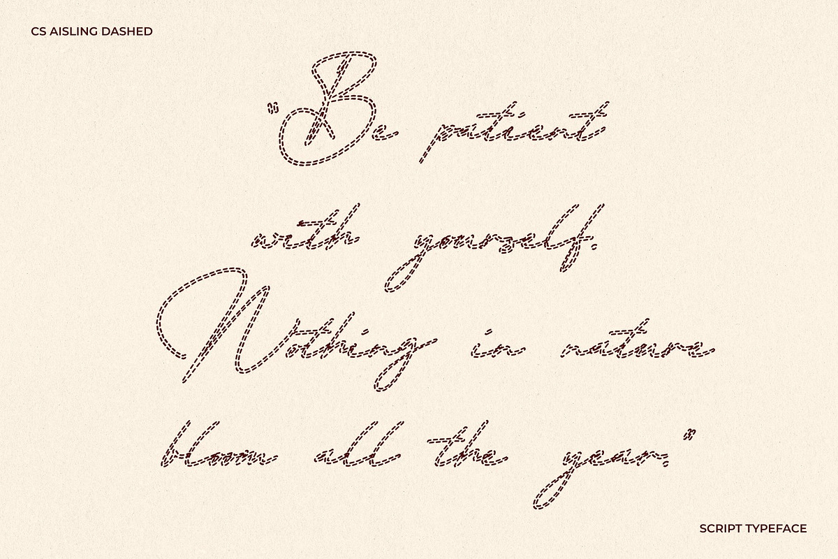 CS Aisling Dashed, a Script Font by Craft Supply Co. (Photo 2 of 8)