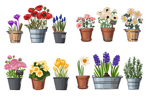 Garden Flowers In Pots. Vector