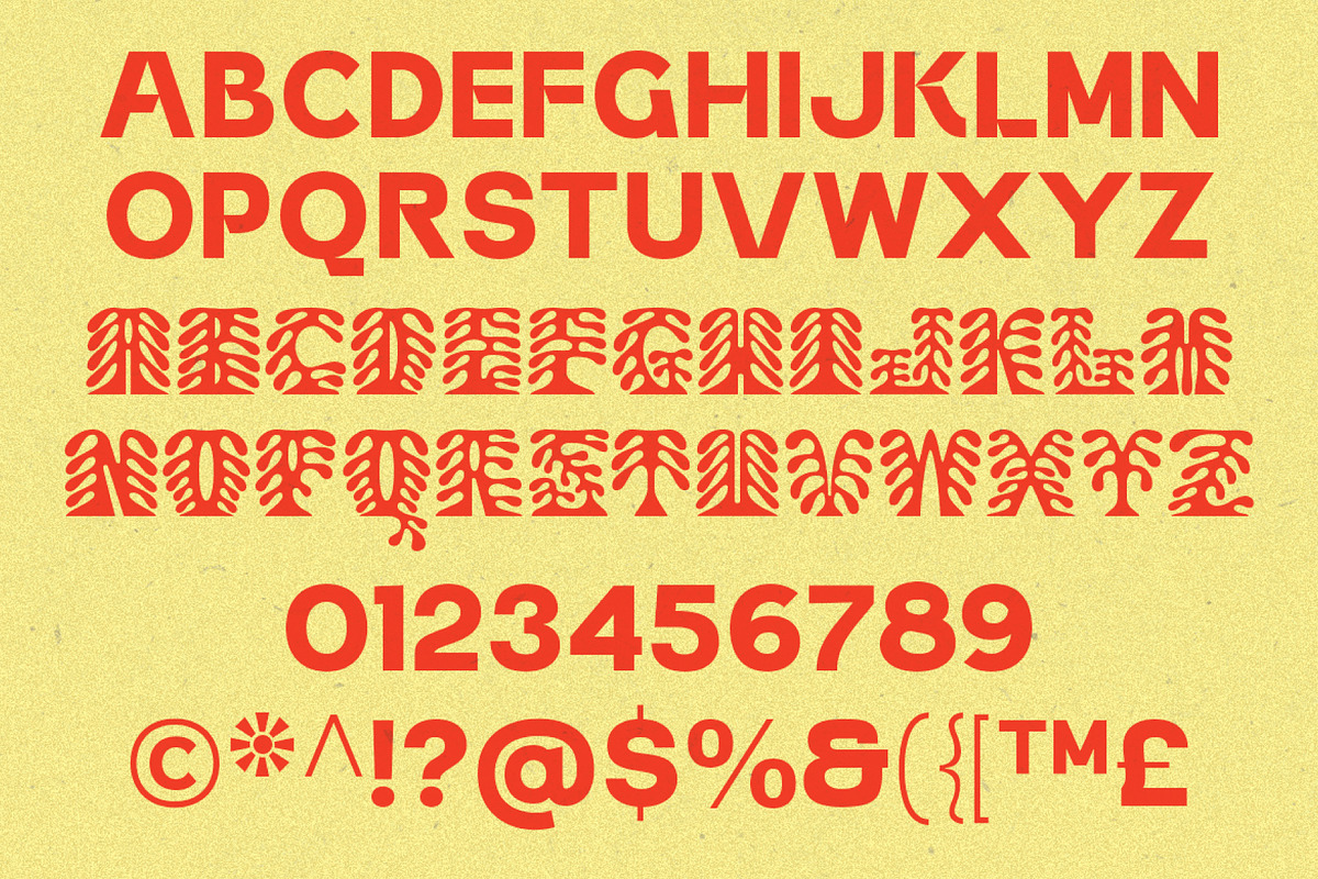 Corail Display Font - Tropics Font, a Sans Serif Font by Prioritype Co (Photo 11 of 11)