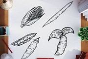 Agriculture plants, a Food Illustration by CGterminal (Thumbnail 3 of 5)