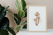Mushroom Forest watercolor clipart, a Decorative Illustration by AkiraVilla (Thumbnail 9 of 11)