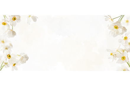 White anemone flowers on a gentle