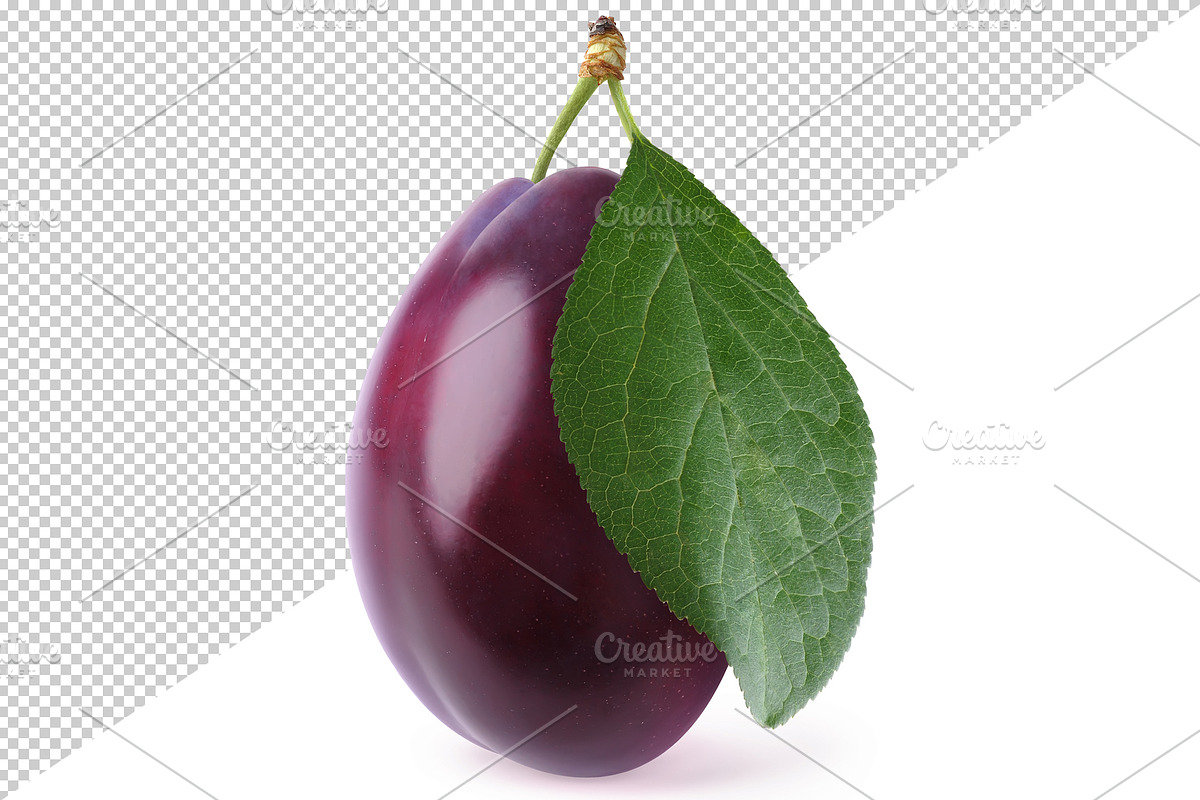 Purple plums preview 4