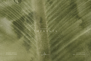 Organic Textured Backgrounds, a Background Graphic by Altea Design Studio (Thumbnail 11 of 20)
