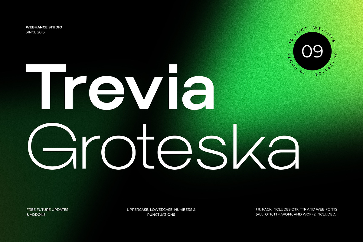 Trevia Groteska – Modern Grotesk, a Sans Serif Font by Webhance Studio (Photo 1 of 13)