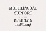 Sangrita, a Serif Font by ToniStudio (Thumbnail 9 of 9)