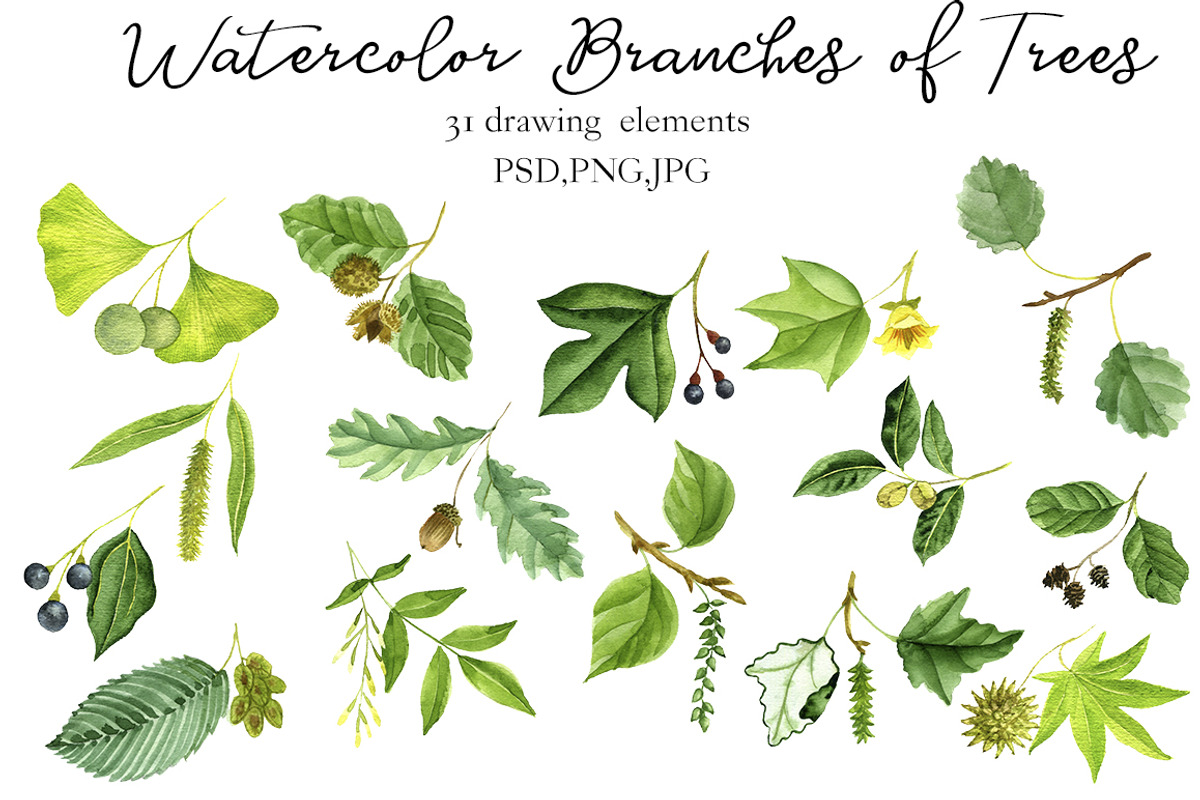 Watercolor Branches of Trees, an Illustration by cat_arch_angel (Photo 2 of 5)