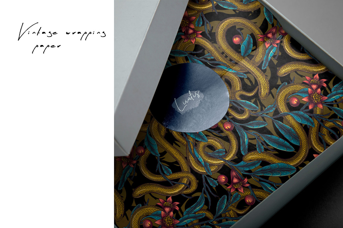 POMEGRANATE EDEN - patterns & motifs, a Decorative Illustration by Liiafis (Photo 13 of 15)