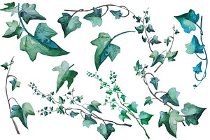 Ivy Branches Watercolor Set