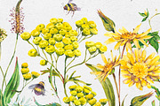 Watercolor meadow herbs&flowers, an Illustration by Depiano (Thumbnail 10 of 19)