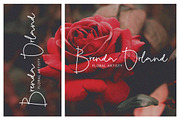 Rumble Honey - Casual Signature, a Handwritten Font by tebaltipislab (Thumbnail 4 of 9)