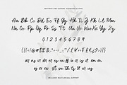 Brittney & Jasmine Brush Script Font, a Script Font by Heinzel Std (Thumbnail 9 of 13)