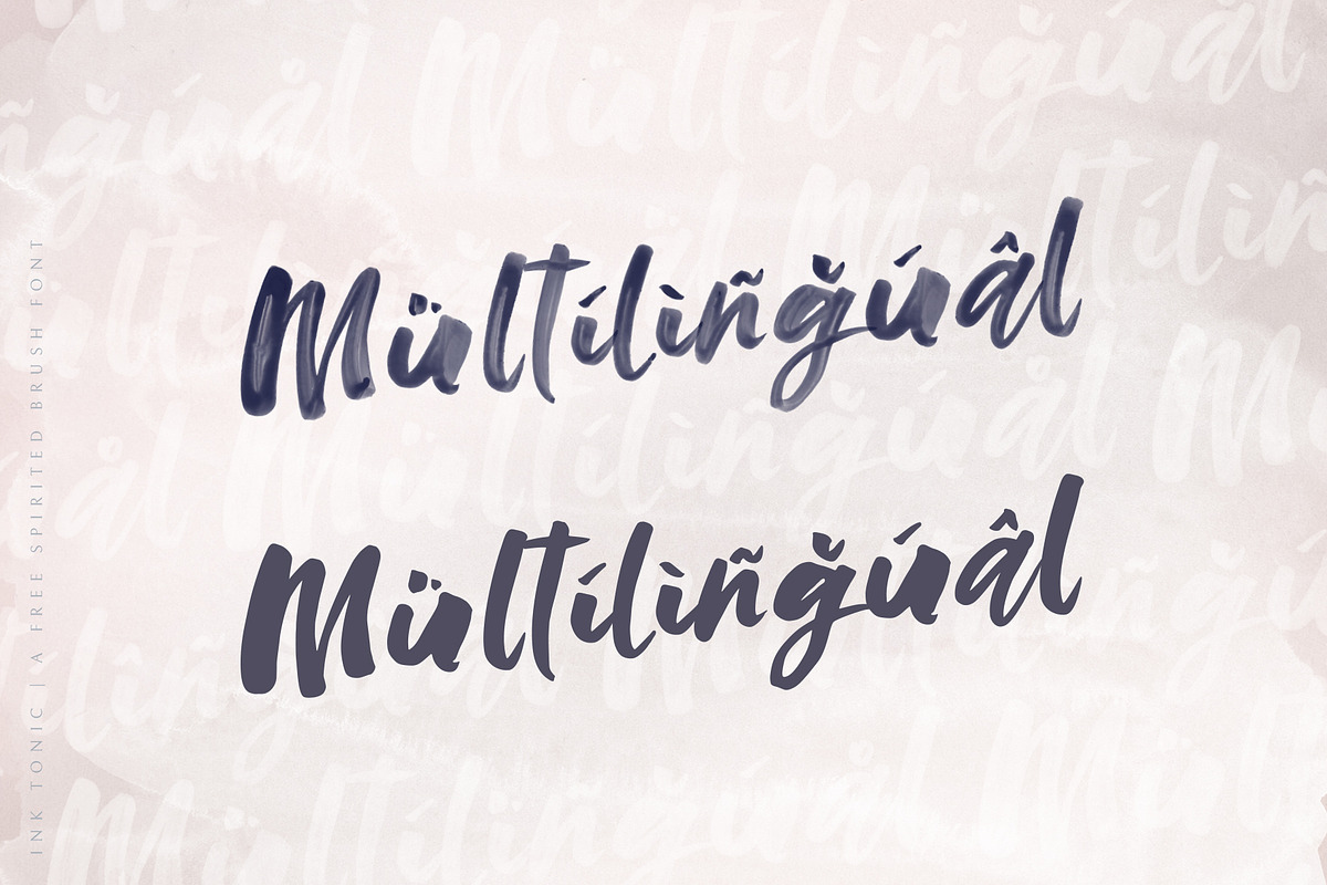 Ink Tonic | A SVG Brush Font, a Script Font by Ayca Atalay (Photo 14 of 21)