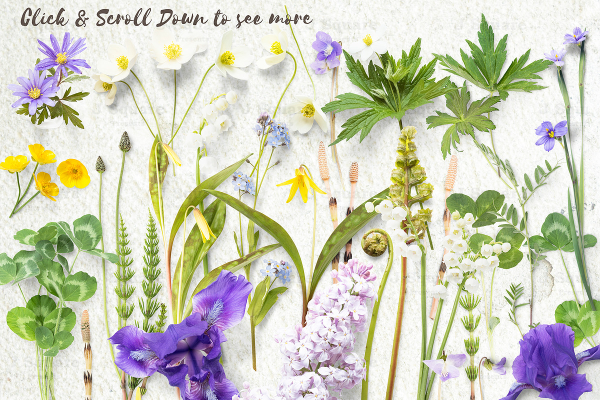 Spring Flower Props & Cardset Mockup, a Product Mockup by JSquarePresents (Photo 7 of 9)