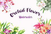 Watercolor Flowers - Orchid, an Illustration by Pixavics (Thumbnail 1 of 6)