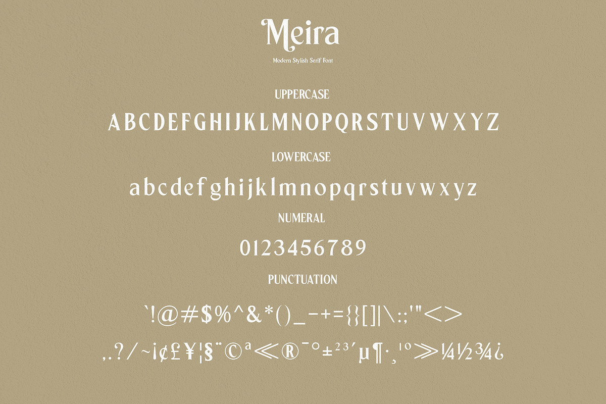 Meira Serif, a Serif Font by Alphaleonis_std (Photo 8 of 9)
