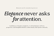 Rainvolt Classic Letterforms, a Serif Font by roomspace creative lab (Thumbnail 4 of 13)