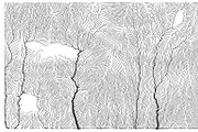 Growth - 50 Backgrounds, a Texture Graphic by GarryKillian (Thumbnail 42 of 51)