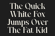 CS Chaya – Modern Serif Font, a Serif Font by Craft Supply Co. (Thumbnail 3 of 8)