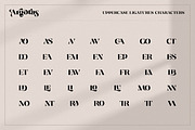 Argotas | Serif Display Font, a Serif Font by Ekahermawan (Thumbnail 12 of 15)
