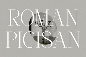 Musthard - Stylish Classic Serif