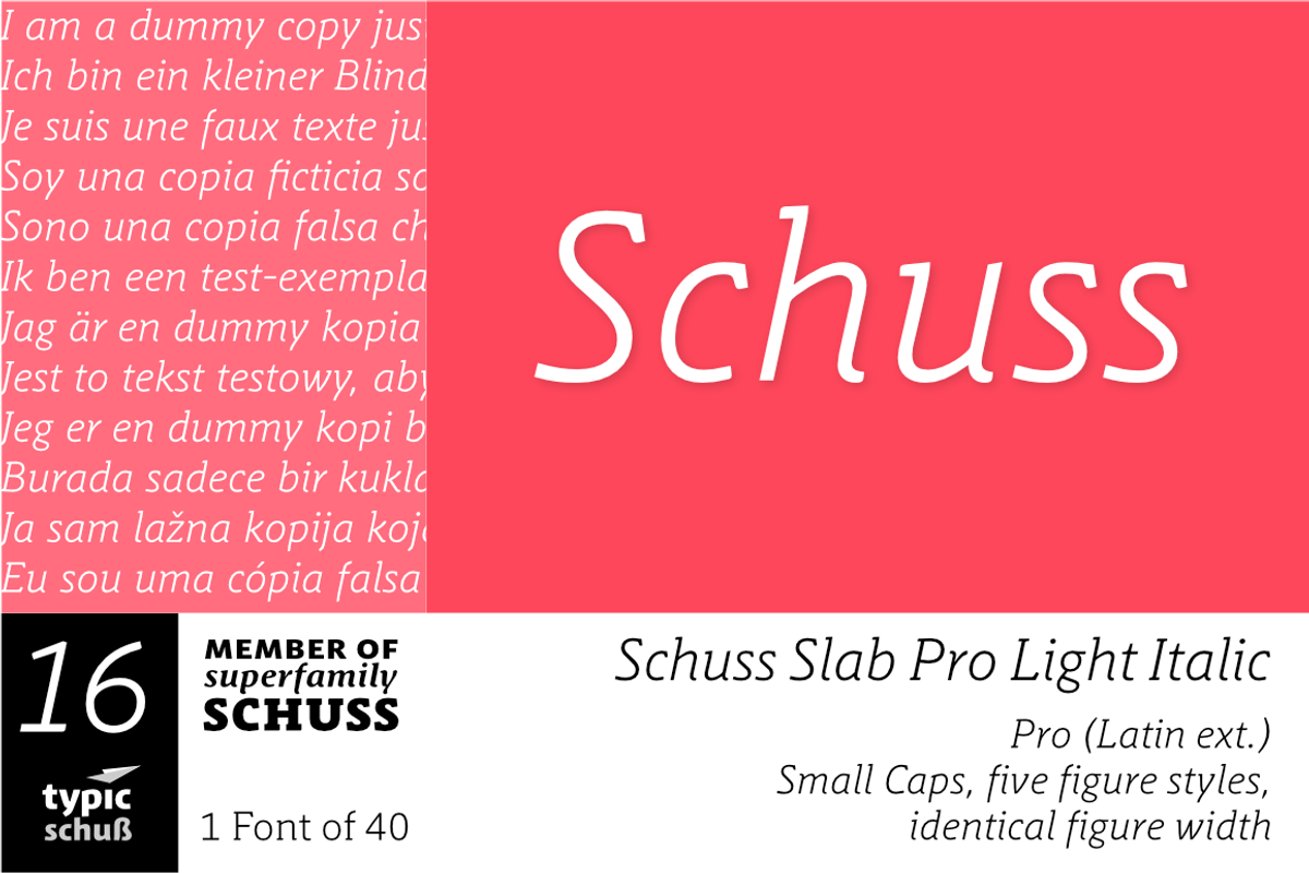 SchussSlabProLightIta No.16 (1 Font)