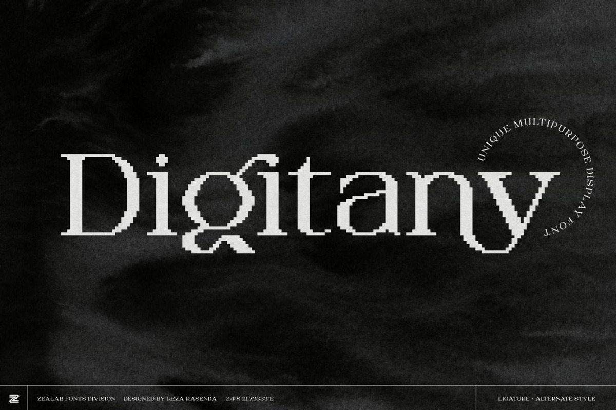 DIGITANY, a Serif Font by Bagerich Type Foundry (Photo 1 of 9)