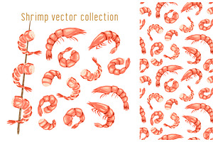 Shrimp vector illustration