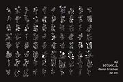 80 Procreate Sketch Botanical Stamp, a Brush Add-On by MISTstudioDesign (Thumbnail 2 of 4)