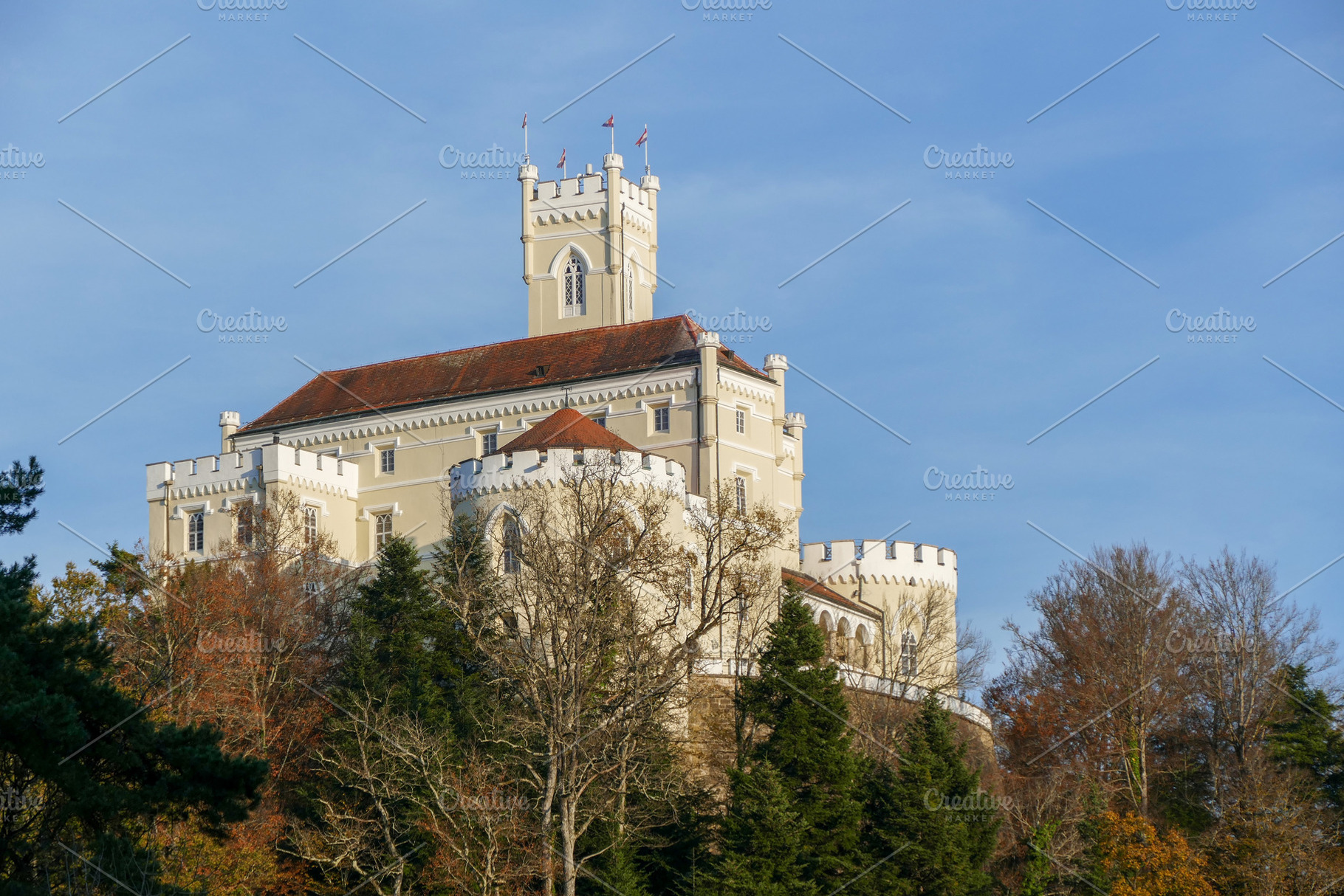 A close-up view captures the upper p, a Photo by Pozitivo