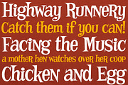 Mother Hen AOE, a Serif Font by Astigmatic (Thumbnail 4 of 5)